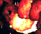 Description: Description: C:\Users\Alex\Downloads\raizingpages-etc\battlegaregga\garegga-system_files\gare4.gif